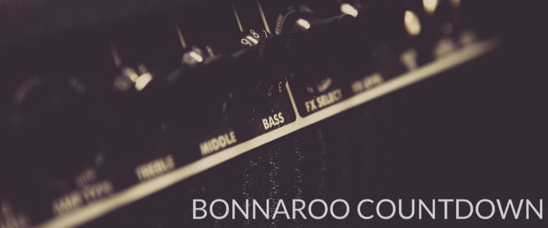 Free online countdown clock for Bonnaroo.